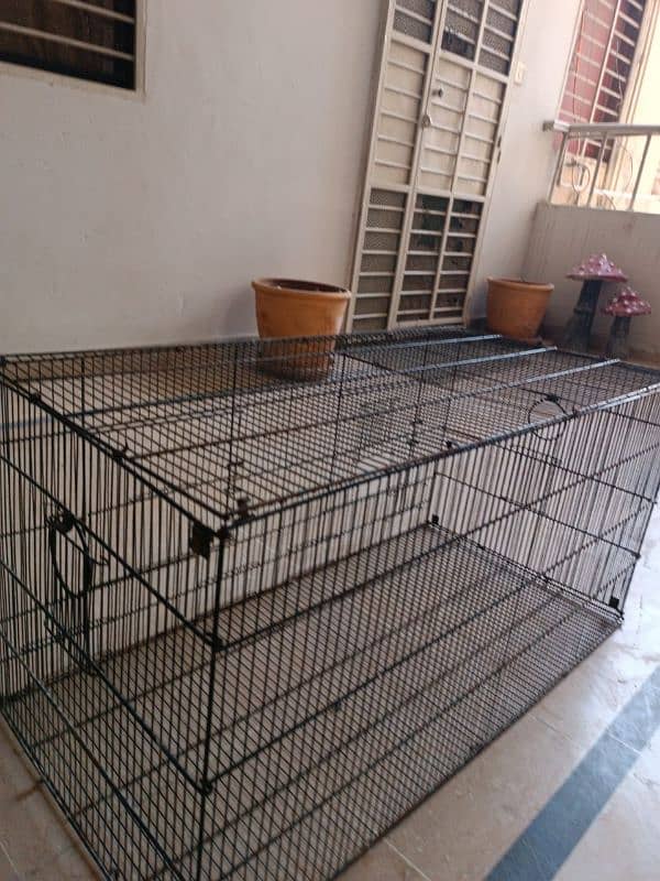 parrot love birds cages for sale 4