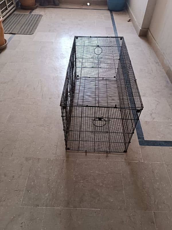 parrot love birds cages for sale 5