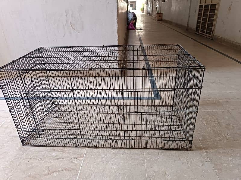 parrot love birds cages for sale 6