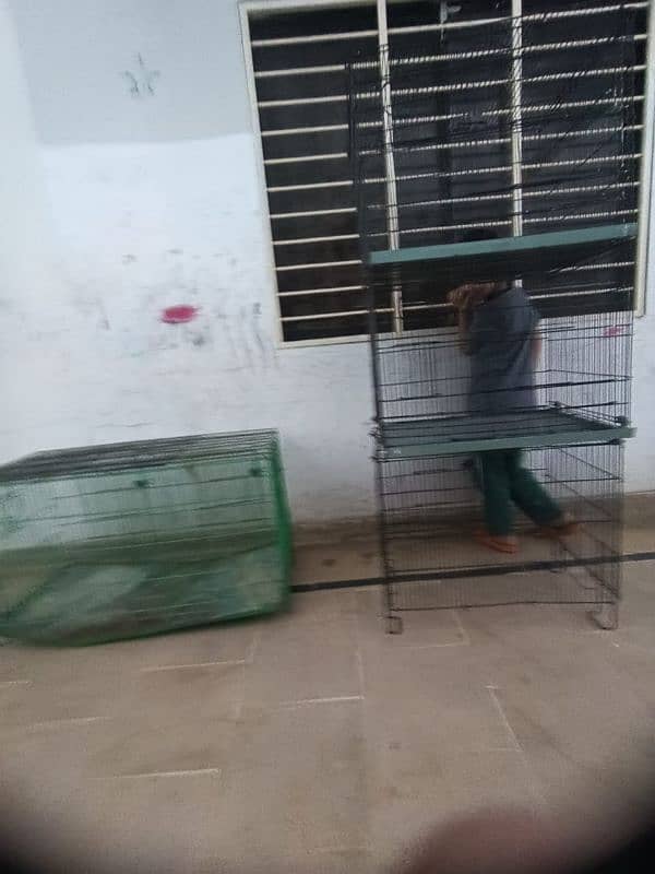 parrot love birds cages for sale 7