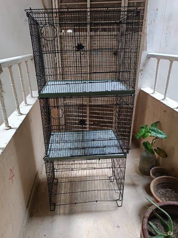 parrot love birds cages for sale 8