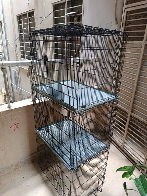 parrot love birds cages for sale 11