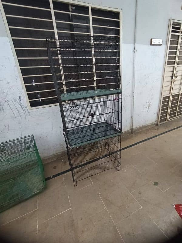 parrot love birds cages for sale 14