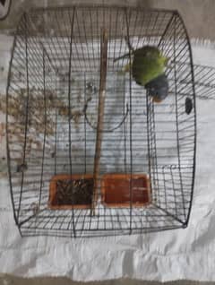 Small Cage For Urgent Sale