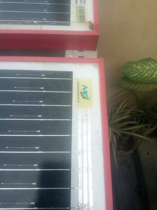 MG solar plate for sale just 3 month used plate ha 2