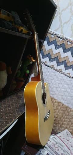 Acoustic guitar