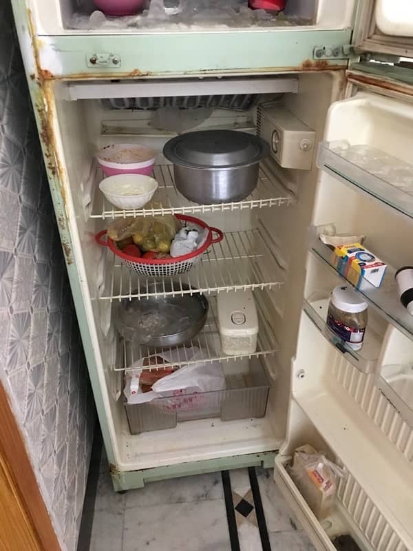 Singer Refrigerator & freezer for sale 3