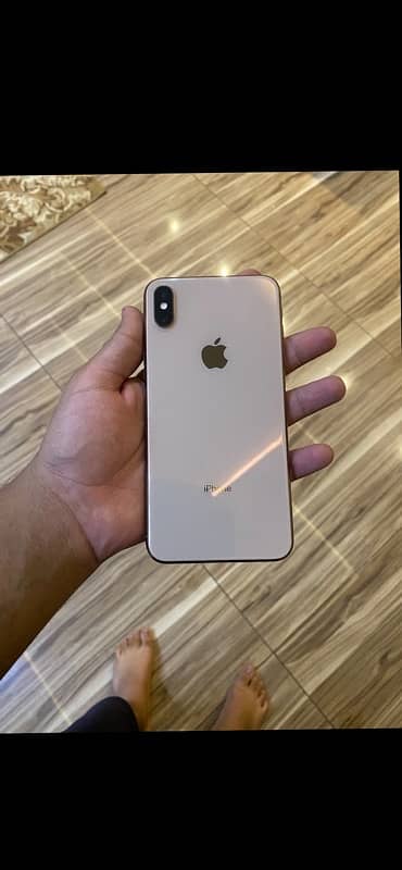 iPhone xs max 256 pta 4