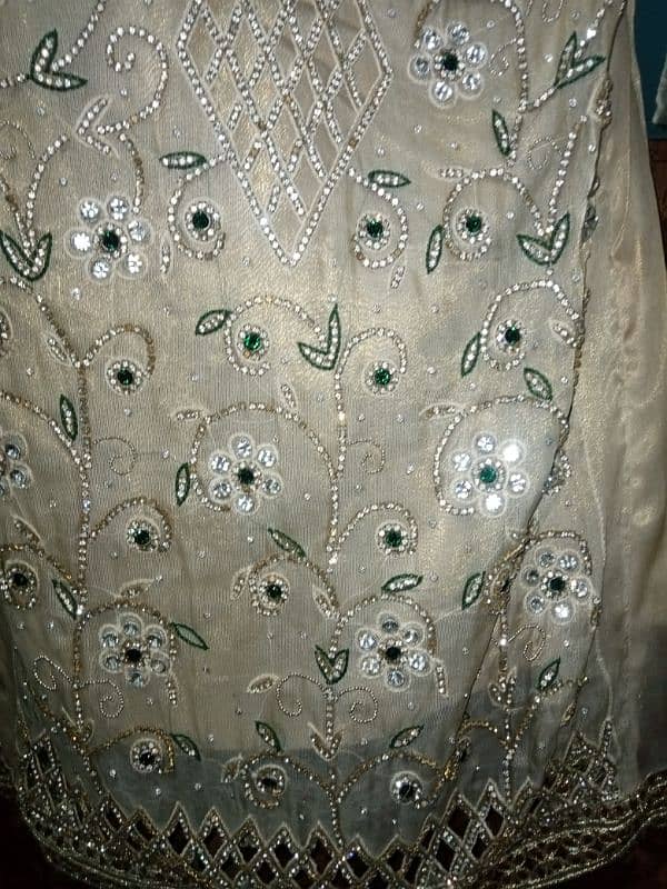 Mehndi outfit 2