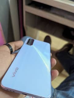 vivo