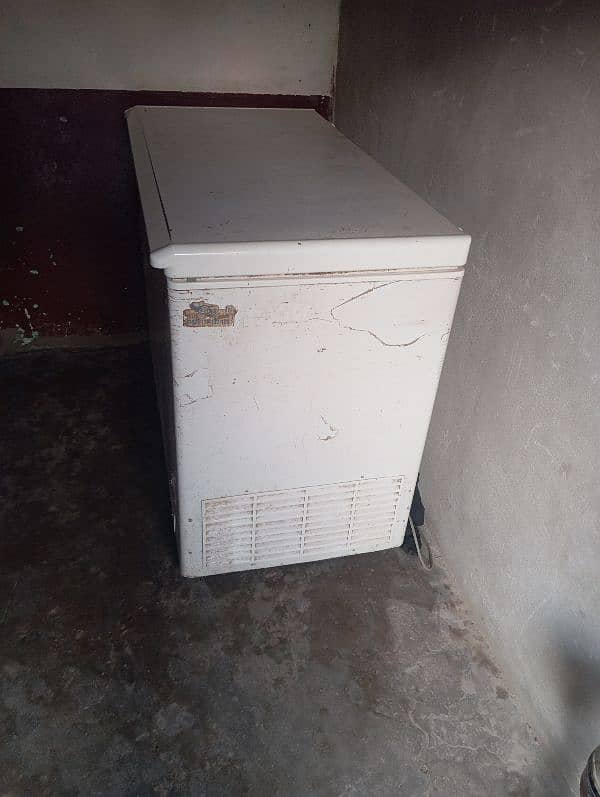 Freezer For Shop and Home use 2