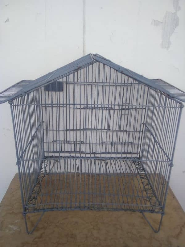 Birds caged 1