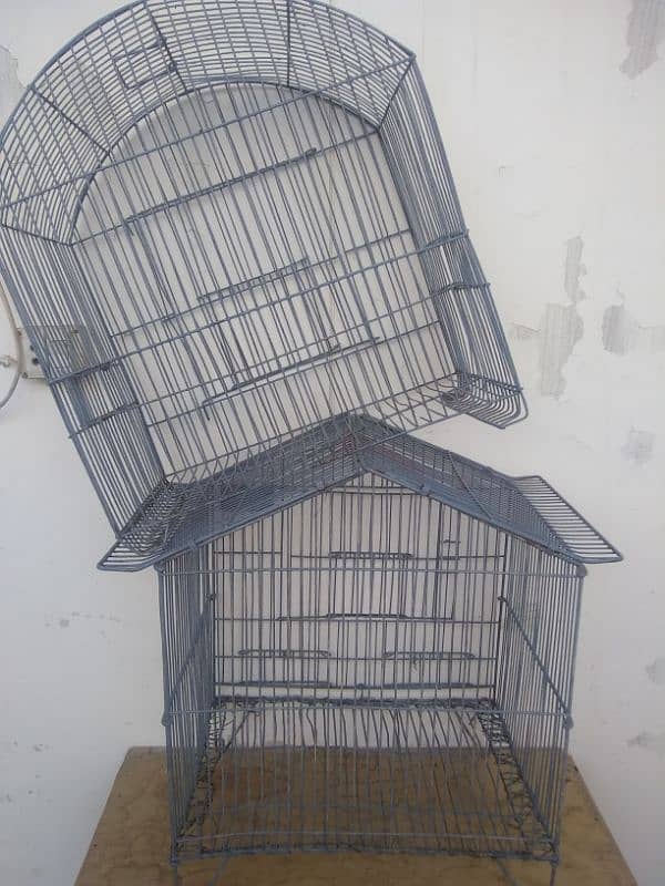 Birds caged 2