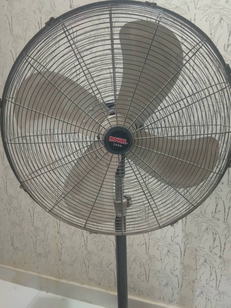 Pedestal Fan (Royal Fans)  24" 1