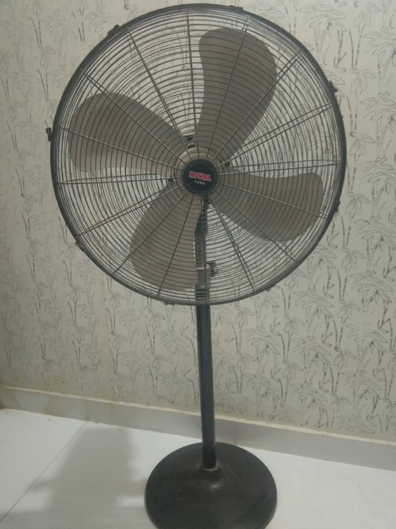 Pedestal Fan (Royal Fans)  24" 2