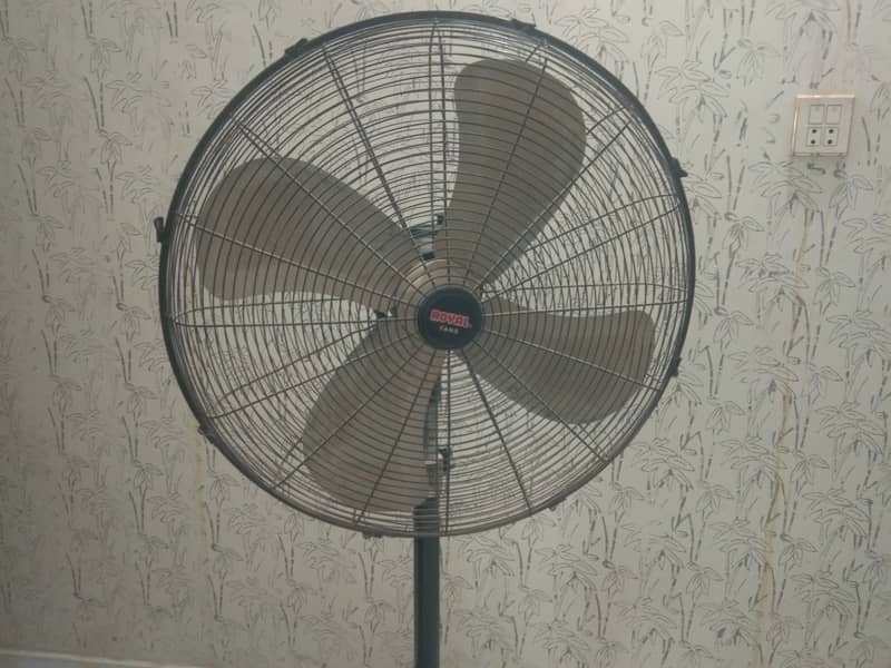 Pedestal Fan (Royal Fans)  24" 3