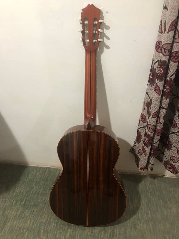 Morris classical Nylon string guitar 2