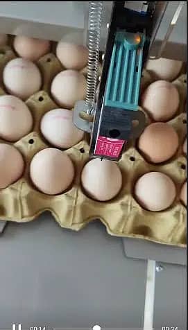 Egg Printer Machine, Egg Printing Machine, Egg Marking Machine 2