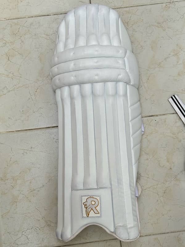 COMPLETE BRAND NEW CRICKET KIT RAS SPORTS BEST QUALITY 3