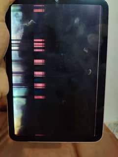 iPad mini 6 panel damage