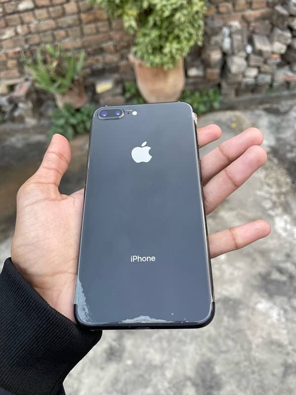 8Plus Pta approved 1