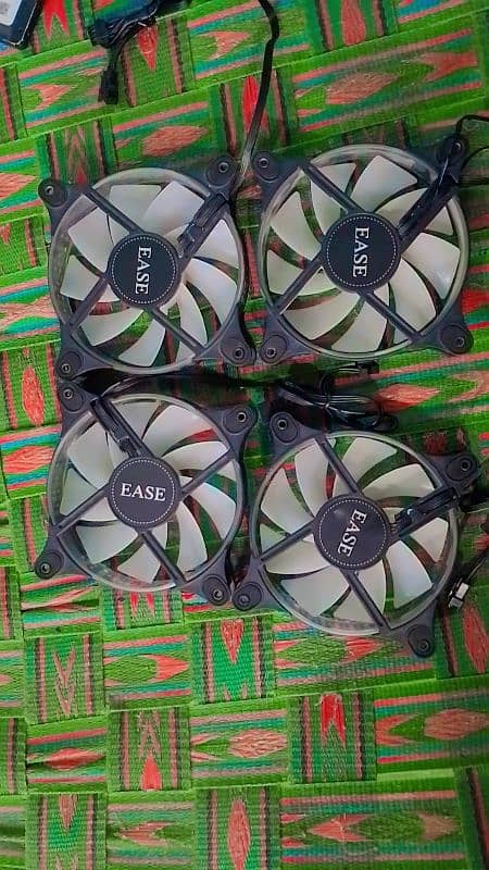 RGB fans 1