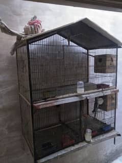 cage for sale