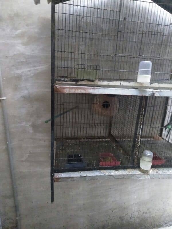 cage for sale 3