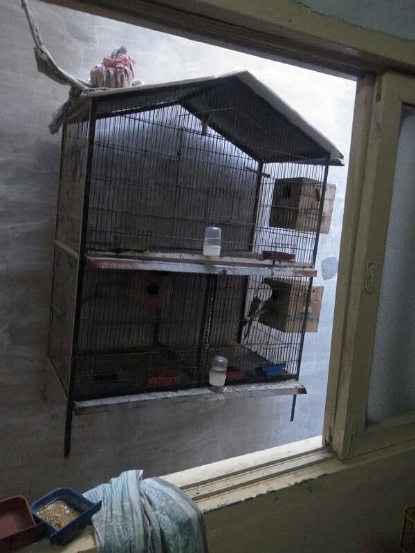 cage for sale 4