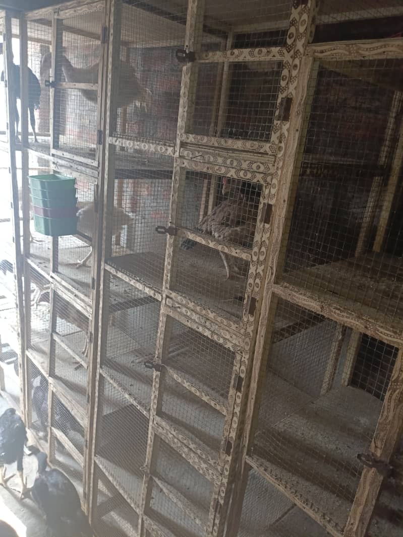 wodden cages for sell 3