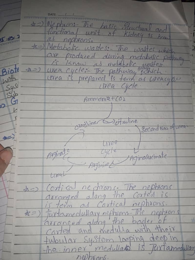 Hand written assignment work 19