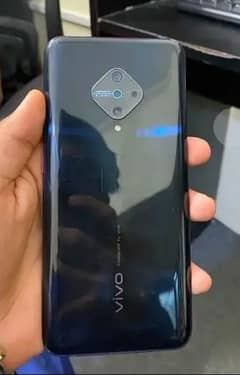 vivo