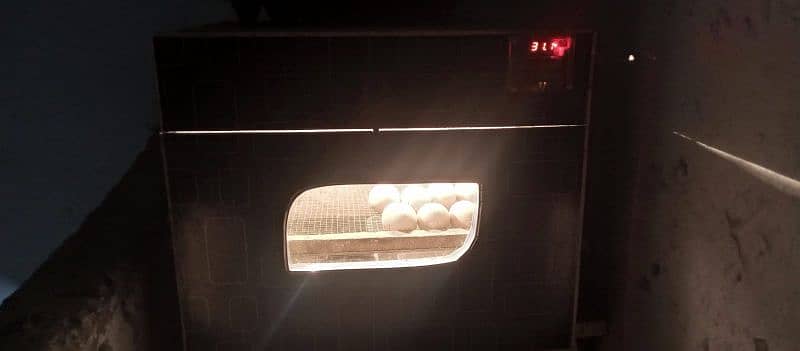 incubator for sale 2