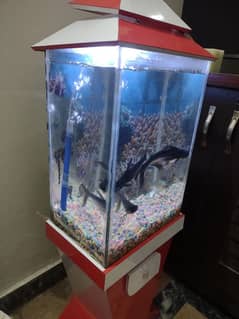 Fish aquarium 1.5 foot width 2.5 foot height