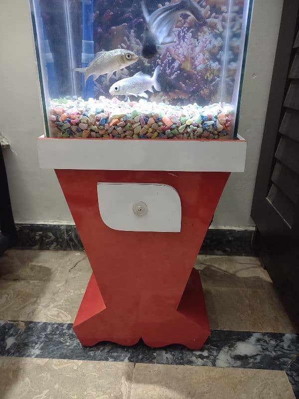 Fish aquarium 1 foot width 2 foot height 2