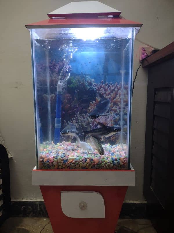 Fish aquarium 1 foot width 2 foot height 4