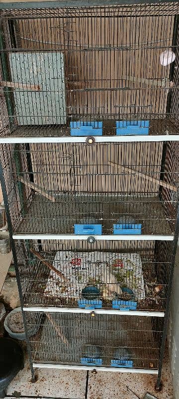 solid Iron 4th floor cage ( Hens, Birds) 2