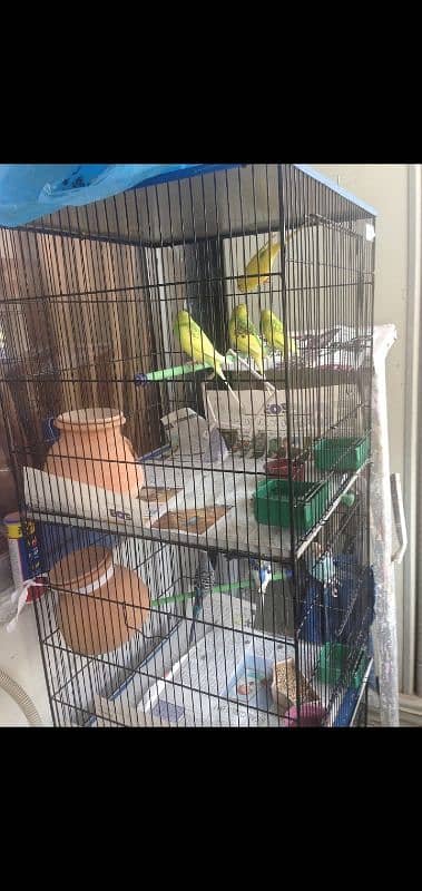 Parrot cage 3 portion for sale 0