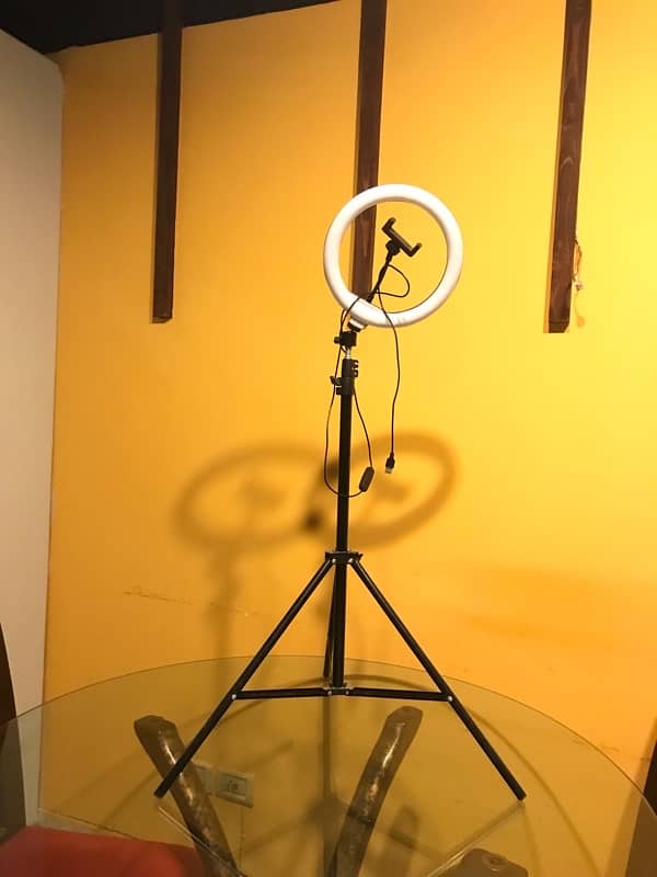 Rim light with stand 1