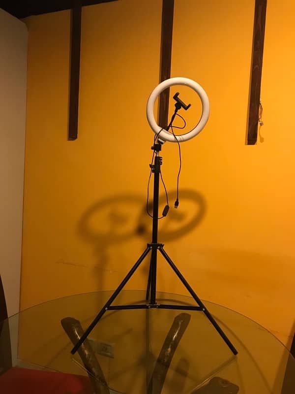 Rim light with stand 2