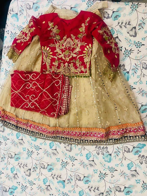 lehnga 1