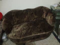 Single sofa for sale