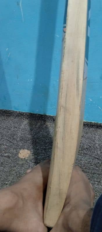 hardball bat bat ki company name English willow 5