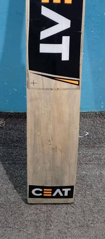 hardball bat bat ki company name English willow 10