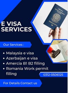 America B1 B2 visa process and E Visas available