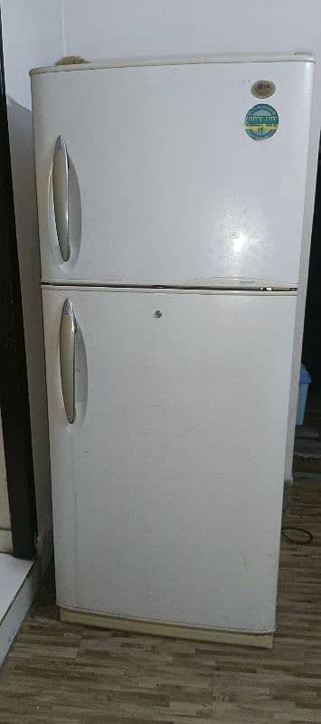 LG Fridge and Freezer 1