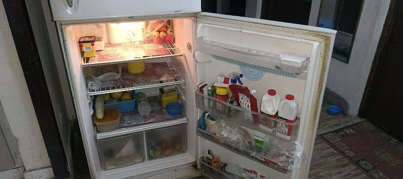 LG Fridge and Freezer 5