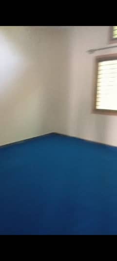 carpet cheap rate