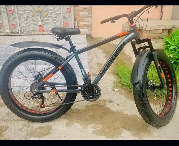 MORGAN FAT BIKE LUSH CONDITION 0