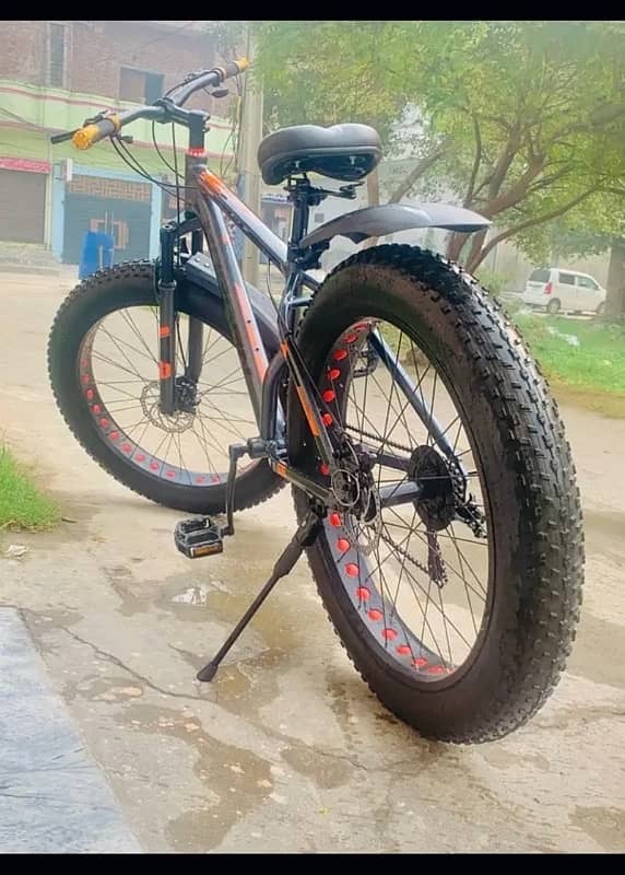 MORGAN FAT BIKE LUSH CONDITION 1